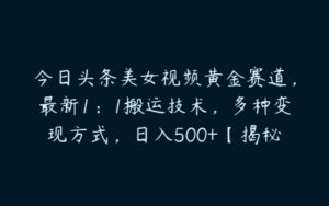 今日头条美女视频黄金赛道，最新1：1搬运技术，多种变现方式，日入500+【揭秘】-51自学联盟