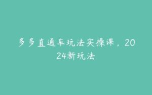 多多直通车玩法实操课，2024新玩法-51自学联盟