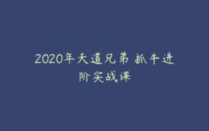 2020年天道兄弟 抓牛进阶实战课-51自学联盟