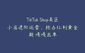 TikTok Shop美区小店进阶运营，抢占红利黄金期 嘎嘎出单-51自学联盟