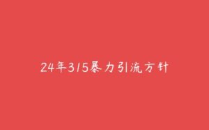 24年315暴力引流方针-51自学联盟