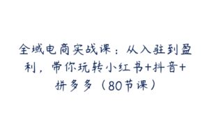 全域电商实战课：从入驻到盈利，带你玩转小红书+抖音+拼多多（80节课）-51自学联盟