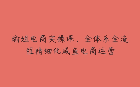 瑜姐电商实操课，全体系全流程精细化咸鱼电商运营-51自学联盟