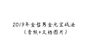 2019年金哲男金元宝战法（音频+文档图片）-51自学联盟