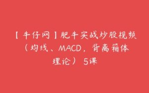 【牛仔网】肥牛实战炒股视频（均线、MACD，背离箱体理论） 5课-51自学联盟