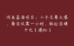 闲鱼蓝海项目：二手交易火爆，每日仅需一小时，轻松日赚千元【揭秘】-51自学联盟