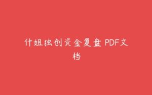 什姐独创资金复盘 PDF文档-51自学联盟