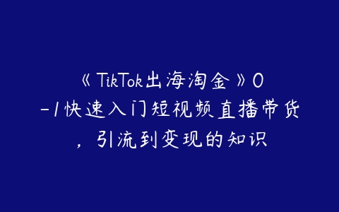 《TikTok出海淘金》0-1快速入门短视频直播带货，引流到变现的知识百度网盘下载