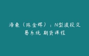 海桑（陈金辉）：N型波段交易系统 期货课程-51自学联盟