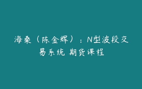 海桑（陈金辉）：N型波段交易系统 期货课程百度网盘下载
