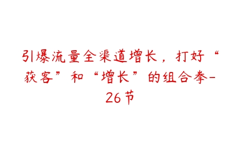 引爆流量全渠道增长，打好“获客”和“增长”的组合拳-26节-51自学联盟