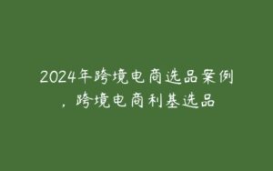 2024年跨境电商选品案例，跨境电商利基选品-51自学联盟