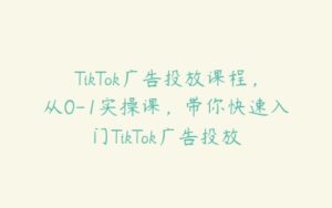 TikTok广告投放课程，从0-1实操课，带你快速入门TikTok广告投放-51自学联盟