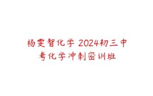 杨雯智化学 2024初三中考化学冲刺密训班-51自学联盟