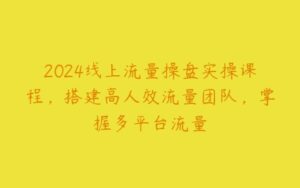 2024线上流量操盘实操课程，搭建高人效流量团队，掌握多平台流量-51自学联盟