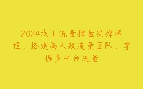 2024线上流量操盘实操课程，搭建高人效流量团队，掌握多平台流量百度网盘下载