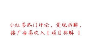 小红书热门评论，变现拆解，接广告高收入【项目拆解 】-51自学联盟