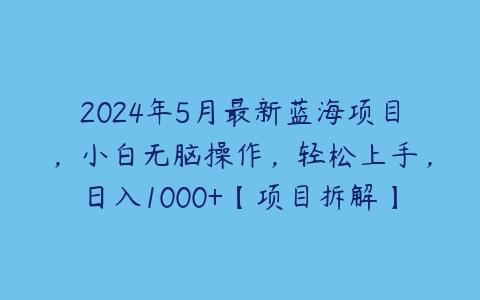 2024年5月最新蓝海项目，小白无脑操作，轻松上手，日入1000+【项目拆解】-51自学联盟