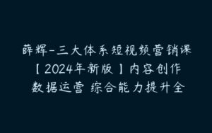 薛辉-三大体系短视频营销课【2024年新版】内容创作 数据运营 综合能力提升全新升级-51自学联盟