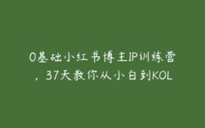 0基础小红书博主IP训练营，37天教你从小白到KOL-51自学联盟