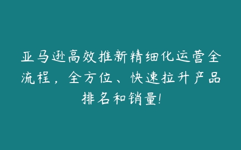 亚马逊高效推新精细化运营全流程，全方位、快速拉升产品排名和销量!百度网盘下载