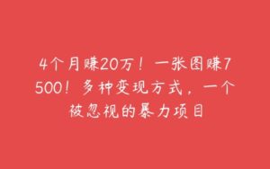 4个月赚20万！一张图赚7500！多种变现方式，一个被忽视的暴力项目-51自学联盟