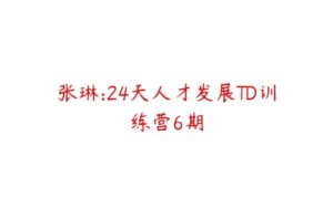 张琳:24天人才发展TD训练营6期-51自学联盟