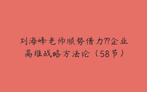 刘海峰老师顺势借力??企业高维战略方法论（58节）-51自学联盟