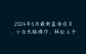 2024年5月最新蓝海项目，小白无脑操作，轻松上手-51自学联盟