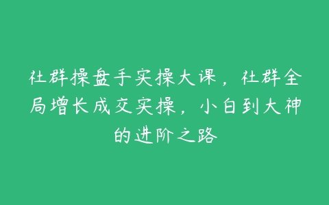 社群操盘手实操大课，社群全局增长成交实操，小白到大神的进阶之路百度网盘下载