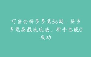 叮当会拼多多第36期：拼多多竞品截流玩法，新手也能0成功-51自学联盟