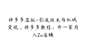 拼多多虚拟-引流技术与私域变现_拼多多教程：开一家月入2w店铺-51自学联盟