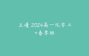 王瑾 2024高一化学 A+春季班-51自学联盟