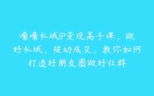 嘴嘴私域IP变现高手课，做好私域，被动成交，教你如何打造好朋友圈做好社群-51自学联盟