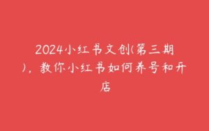 2024小红书文创(第三期)，教你小红书如何养号和开店-51自学联盟