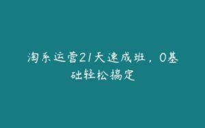 淘系运营21天速成班，0基础轻松搞定-51自学联盟