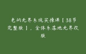 老衲无界系统实操课【38节完整版】，全体系落地无界改版-51自学联盟