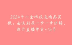 2024千川全域投流精品实操：由谈到深一步一步讲解，教你直播带货-15节-51自学联盟