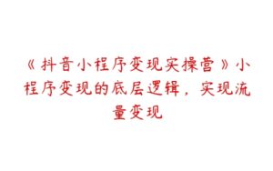 《抖音小程序变现实操营》小程序变现的底层逻辑，实现流量变现-51自学联盟