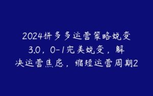 2024拼多多运营策略蜕变3.0，0-1完美蜕变，解决运营焦虑，缩短运营周期2年+-51自学联盟