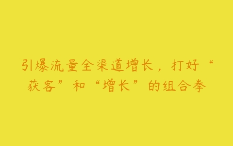 引爆流量全渠道增长，打好“获客”和“增长”的组合拳百度网盘下载