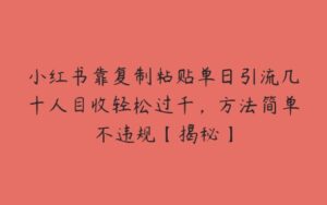 小红书靠复制粘贴单日引流几十人目收轻松过千，方法简单不违规【揭秘】-51自学联盟