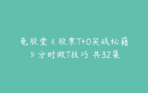 龟股堂《股票T+0实战秘籍》分时做T技巧 共32集-51自学联盟