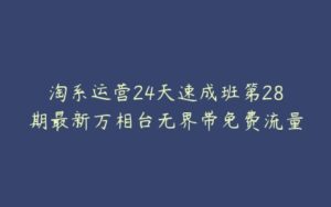 淘系运营24天速成班第28期最新万相台无界带免费流量-51自学联盟