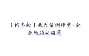 【何志毅】北大案例课堂-企业瓶颈突破篇-51自学联盟