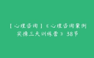 【心理咨询】《心理咨询案例实操三天训练营》 38节-51自学联盟