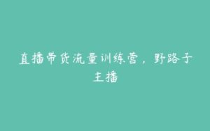 直播带货流量训练营，野路子主播-51自学联盟