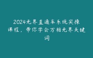 2024无界直通车系统实操课程，带你学会万相无界关键词-51自学联盟