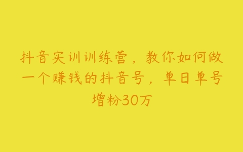 抖音实训训练营，教你如何做一个赚钱的抖音号，单日单号增粉30万-51自学联盟