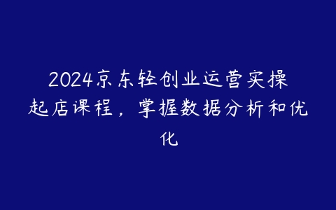 2024京东轻创业运营实操起店课程，掌握数据分析和优化百度网盘下载